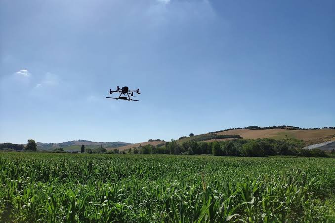 Drone Magnetic Survey
